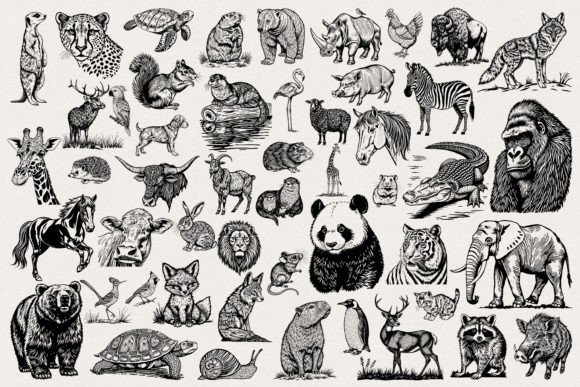 Animal Photoshop Brushes Collection: A Practical Evaluation